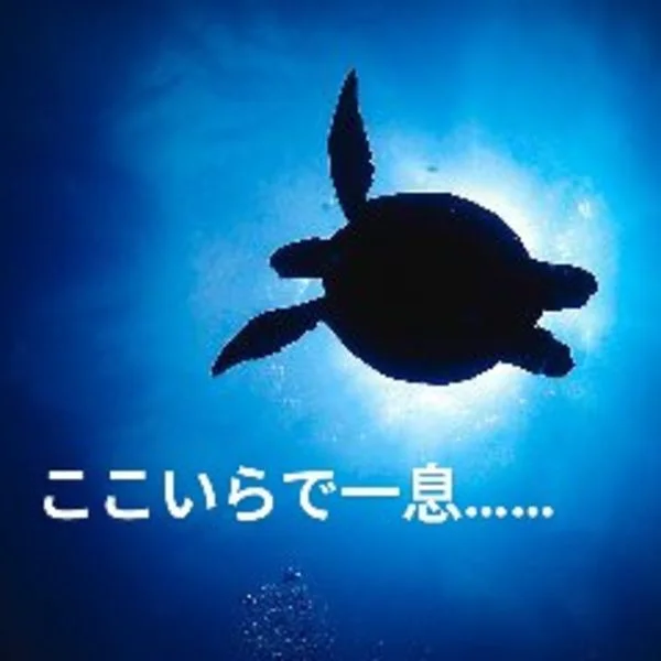 残すところ、あとわずか( ´◔ᾥ◔`)