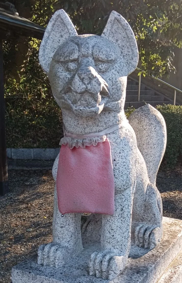 盛り盛り日曜日だどん( ‾̑ω‾̑)੭✨