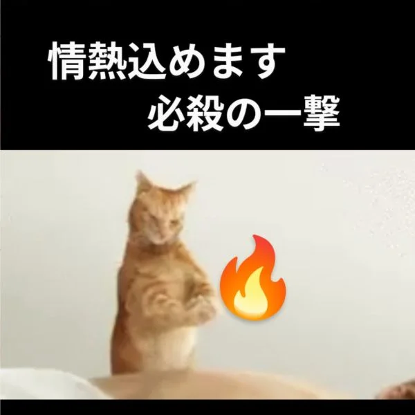 今日は13:00までお受けます( ‾̑ω‾̑)੭