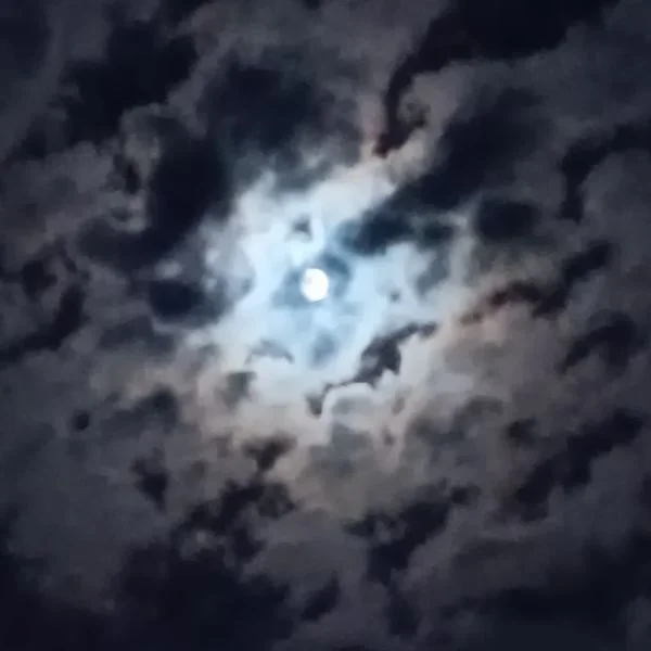 画面バグってましたーﾟ(ﾟ`罒´ ﾟ)ﾟ