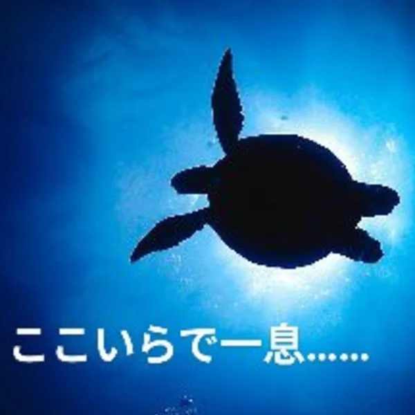 お昼休みとともに…(*˘⌣˘*)💭