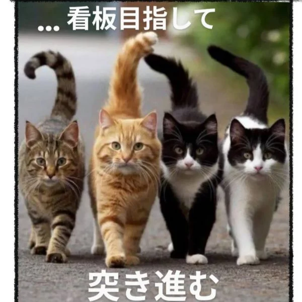 寒いと眠いよね～( ´◔ᾥ◔`)