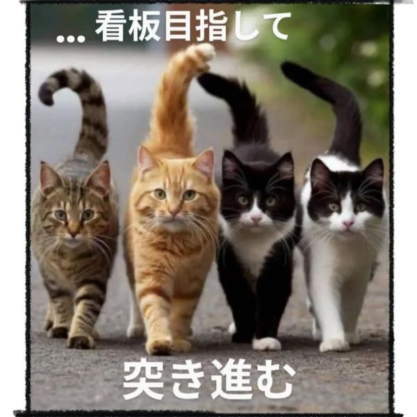 天気回復中(＾Θ＾)❓