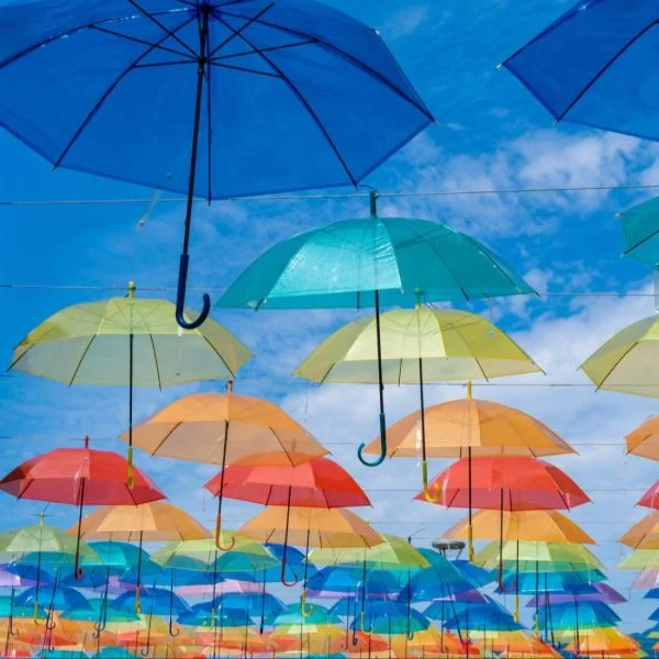 雨よねぇ( ‾̑ω‾̑)੭…☂️