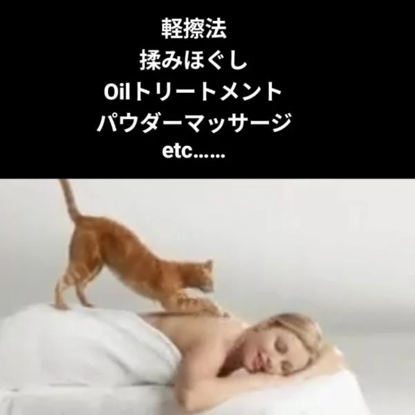 6/9(火)始まりました( ‾̑ω‾̑)੭