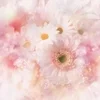 メンズエステをしようか迷っている方へのサムネイル