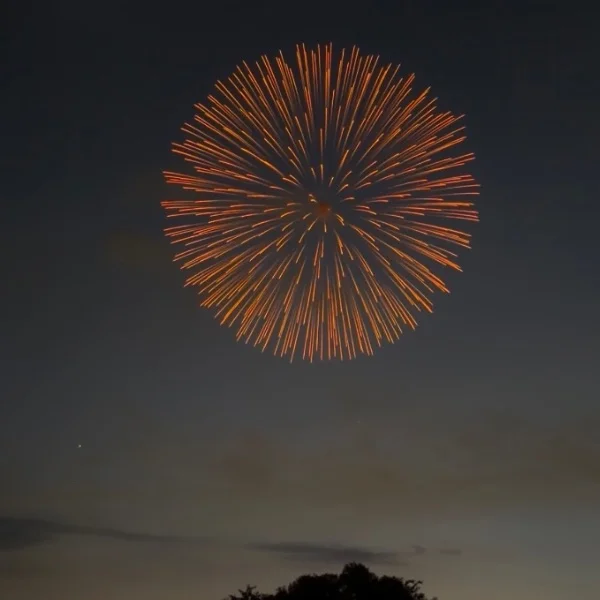 花火〜🐇🎆