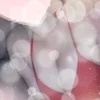 ナラ♡Nara
