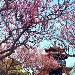 熊本エステ花蓮