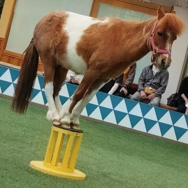Yさん