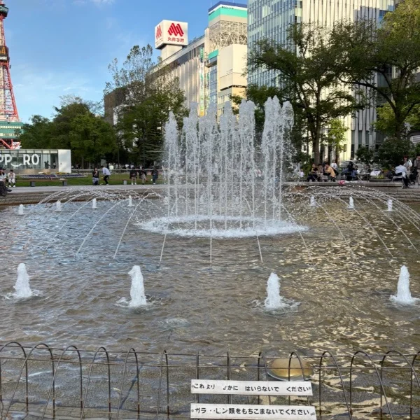今週‪🌱‬