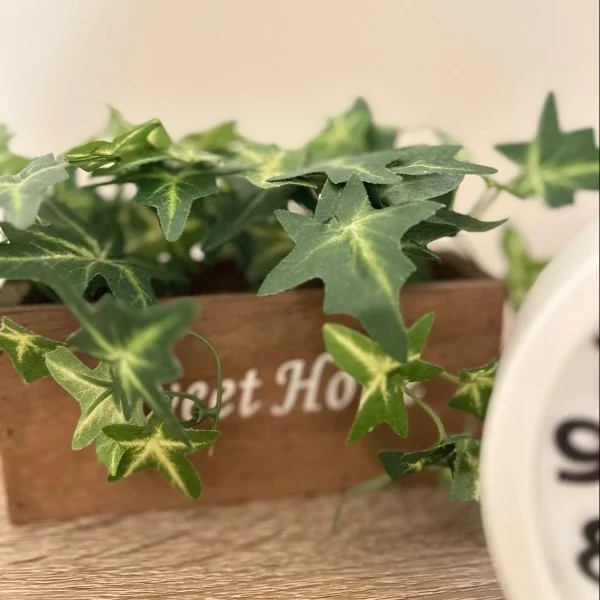 本日13時〜✨