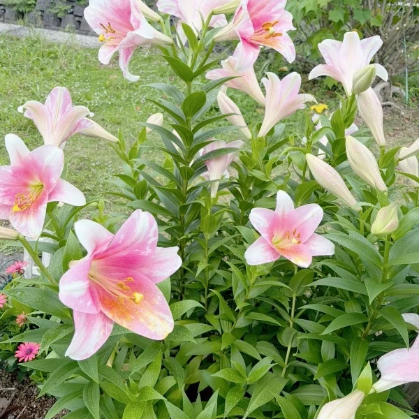 昨日のお礼💓