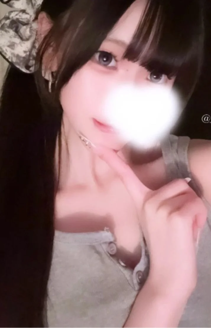 今日も出勤しました🐶