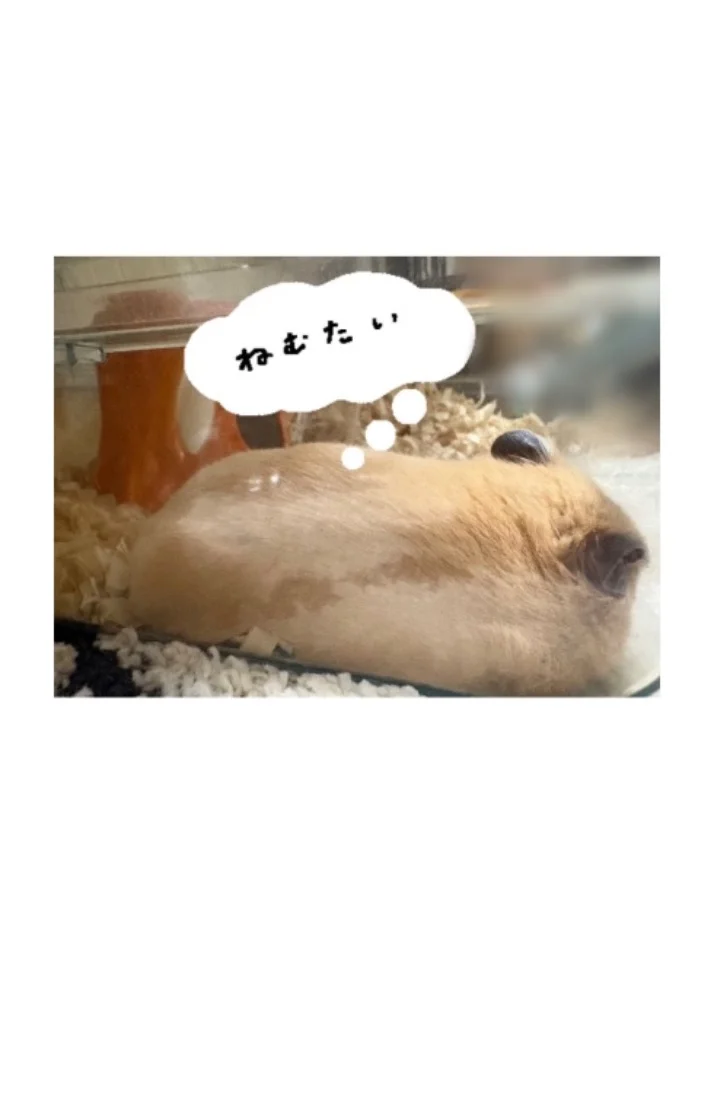 本日出勤いたします🌼
