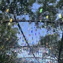 夏楽しんでますか