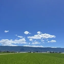 プチリフレッシュ
