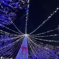 クリスマスも出勤予定です