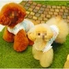 6月といえば💡のサムネイル