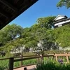 梅雨の時期も忙しいですよ(^^)/のサムネイル