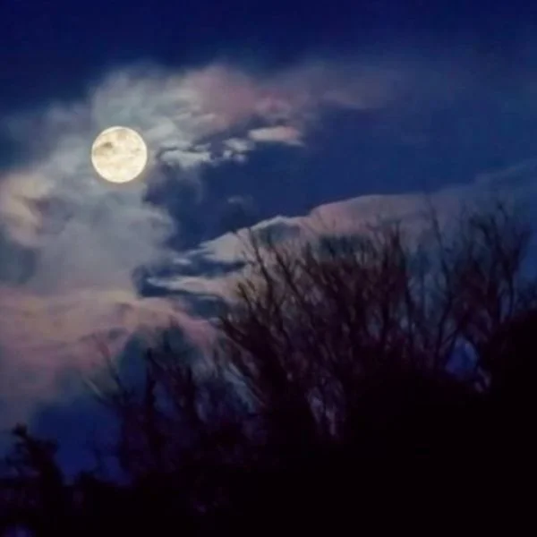 夜風