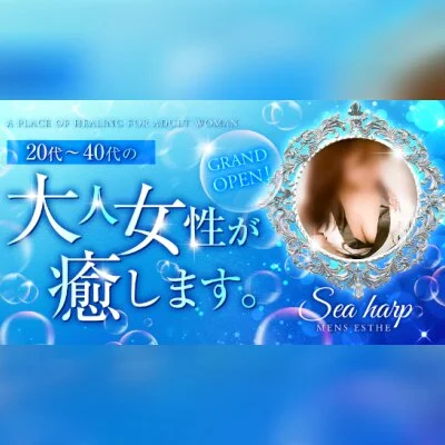 Sea harpのメリットイメージ(2)