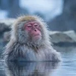 採用担当の亀田さん