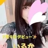 いるか※新人割対象