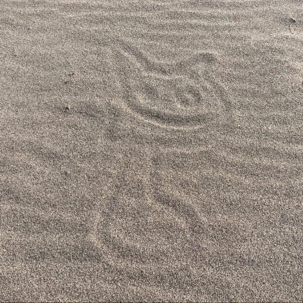 21時から🐥⸒⸒
