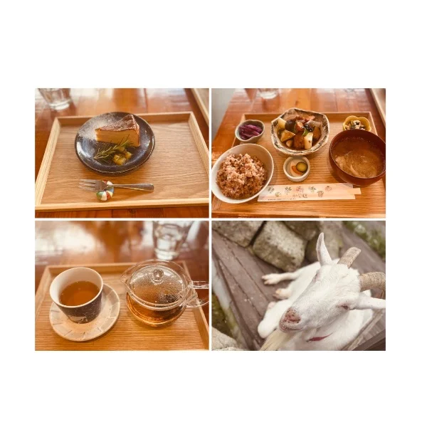 健康😋🤎