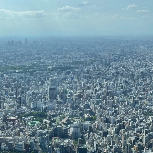 本日最短▶︎19時半~可能