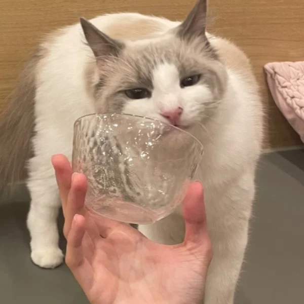辞めちゃったゆのちゃんと🍴✨