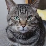 採用担当のイメージです 採用担当のイメージです