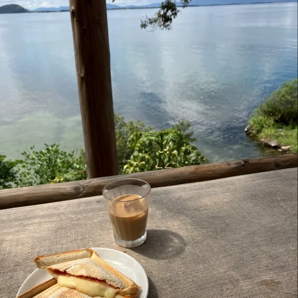 来週 火曜日🌿
