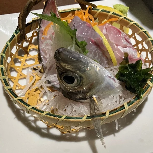 今日は..