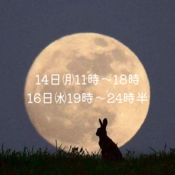 お礼&お知らせ
