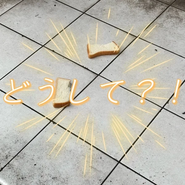( ◜ω◝و(و "