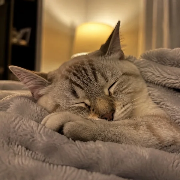 本日もありがとうございました♡