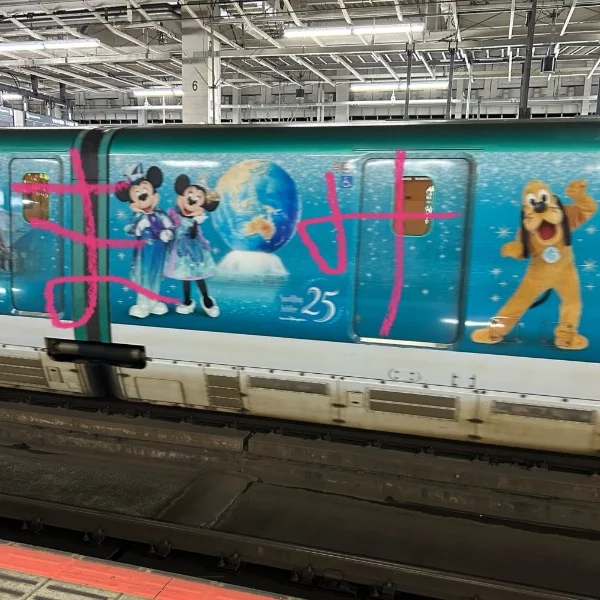 出勤です🐰