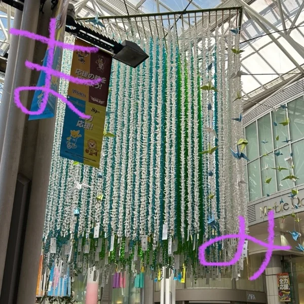 出勤しました🌺