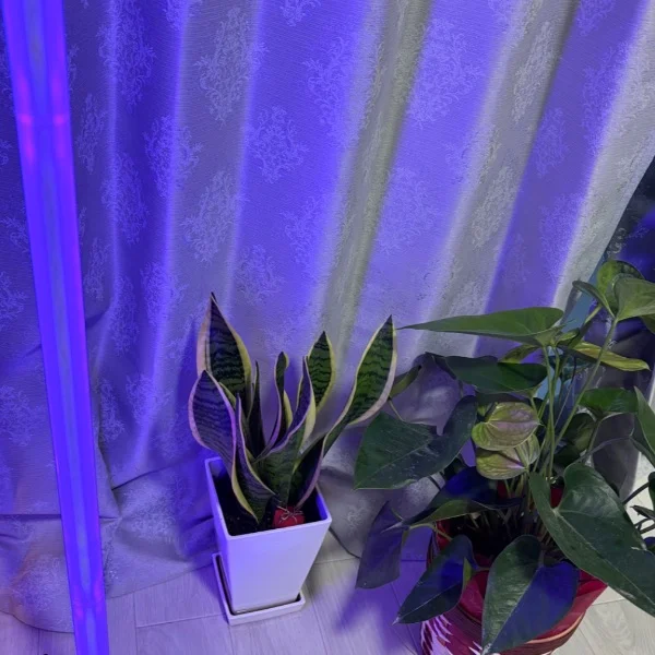 お疲れ様でしたᥫᩣ ̖́-