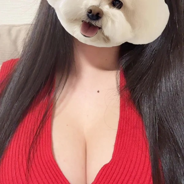 昨日🙌