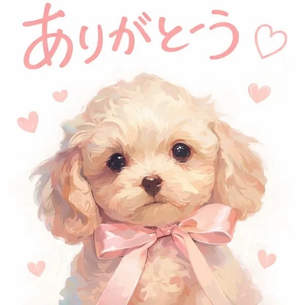 🌟14:20〜のお客様