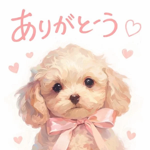 🌟18:50〜のお客様