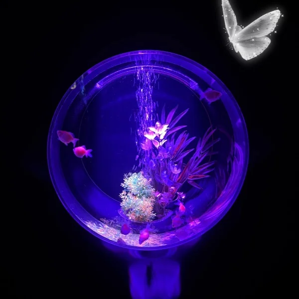 アートアクアリウム🐟💞