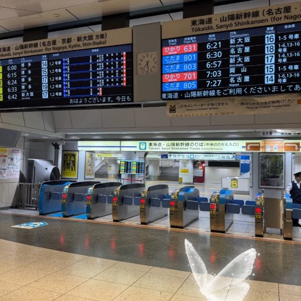 おはようございます☀️