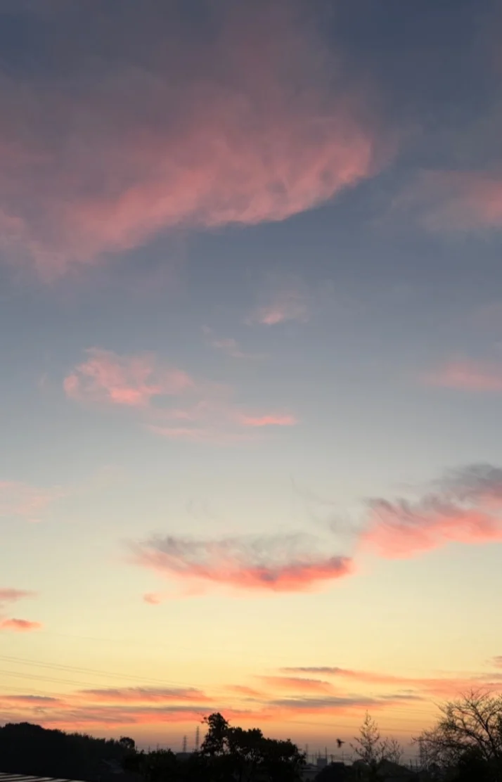 本日もありがとうございました☺️