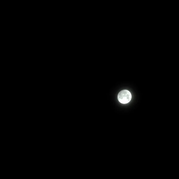 お月様🌕