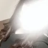 すみれ