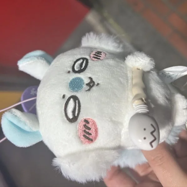 こんばんは〜🙌